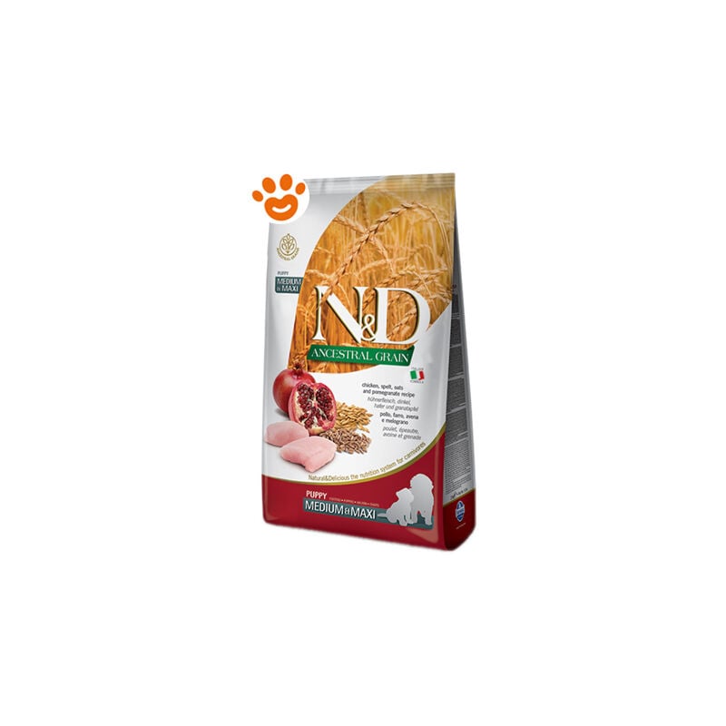 foto del prodotto dog n&amp;d ancestral grain puppy medium maxi pollo e melograno dog n&amp;d ancestral grain puppy medium maxi pollo e melograno - sacco da 12 kg - farmina
