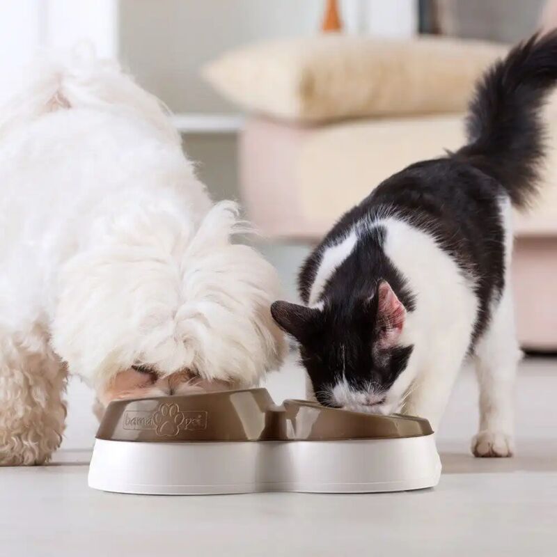 foto del prodotto doppia ciotola bama per cani e gatti ciotolotto con riserva acqua in vari colori