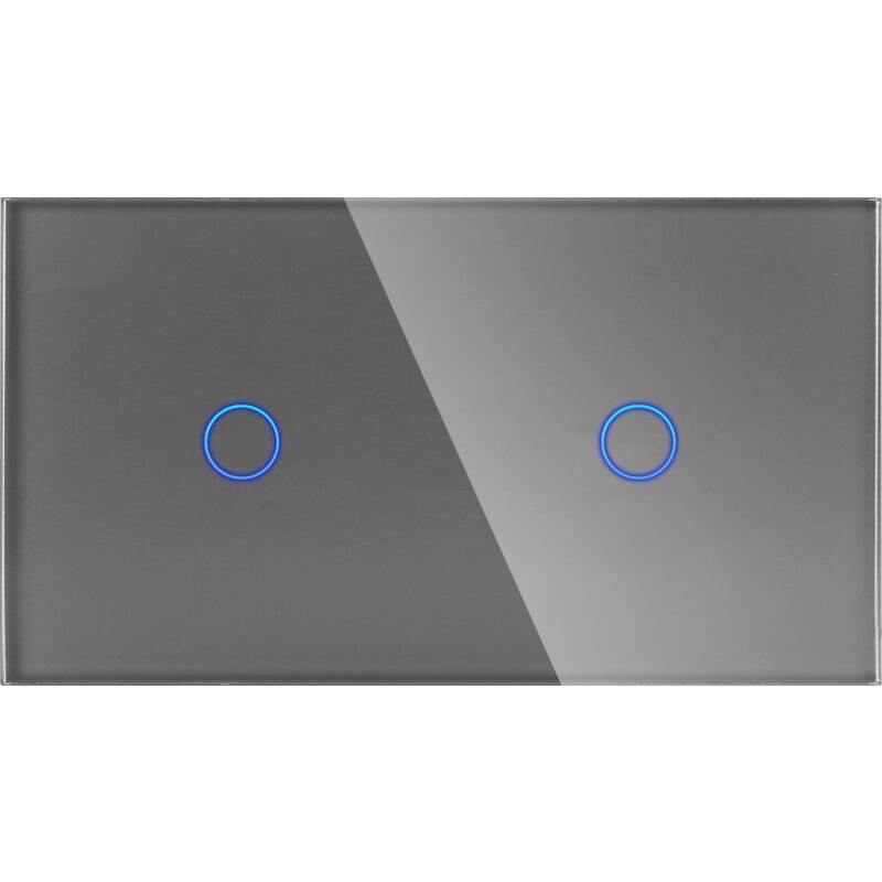foto del prodotto doppio pannello in vetro 1g1g grigio dc smart home