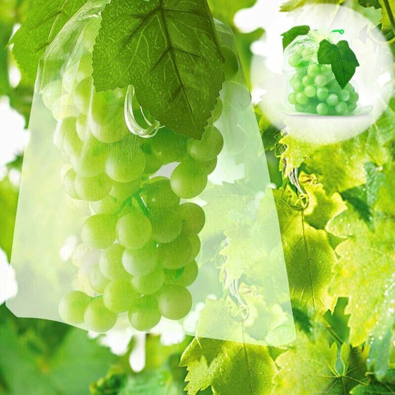foto del prodotto dpzo 100 sacchetti di protezione per la frutta sacchetti di rete protezione dei grappoli d uva contro uccelli e insetti vespe calabroni 30 x 20 cm