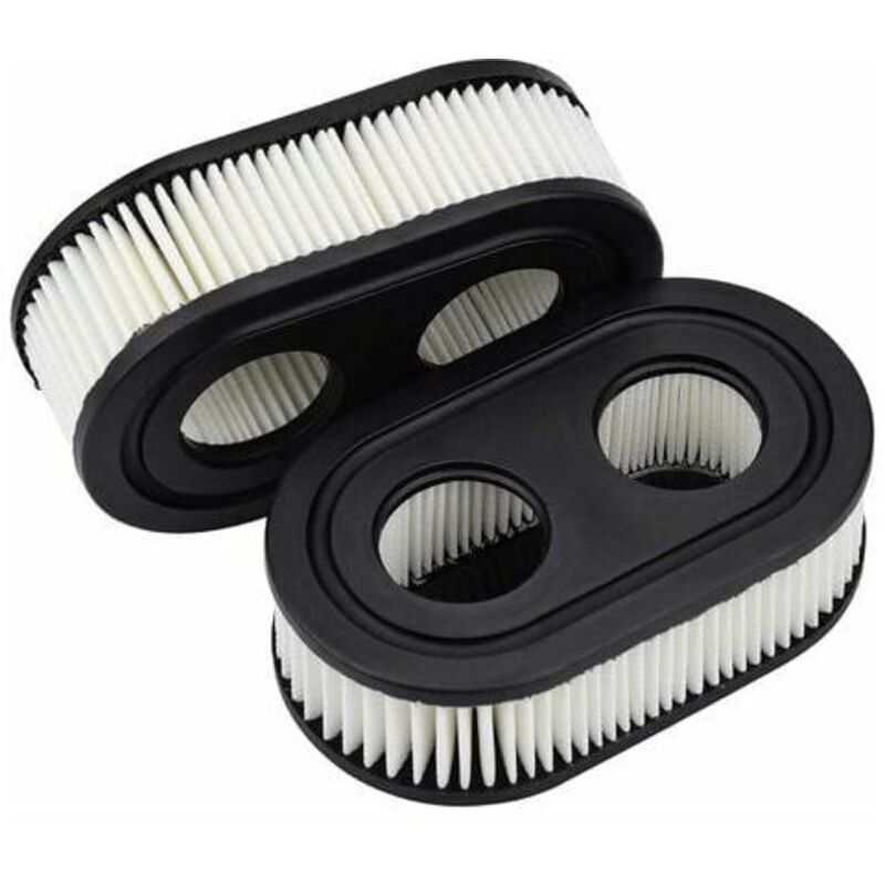 foto del prodotto dpzo filtro aria per tosaerba 2 pezzi per briggs stratton 550e 550ex 798452 593260