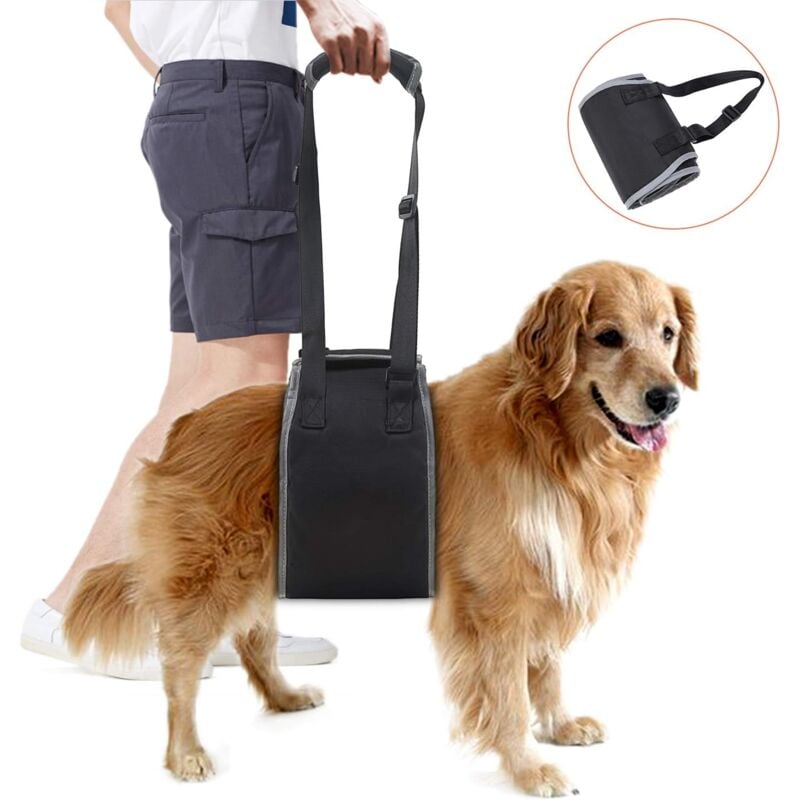 foto del prodotto dpzo imbracatura di supporto per cani anziani, cintura di sollevamento per cani disabili, nera, aiuto per entrare e uscire