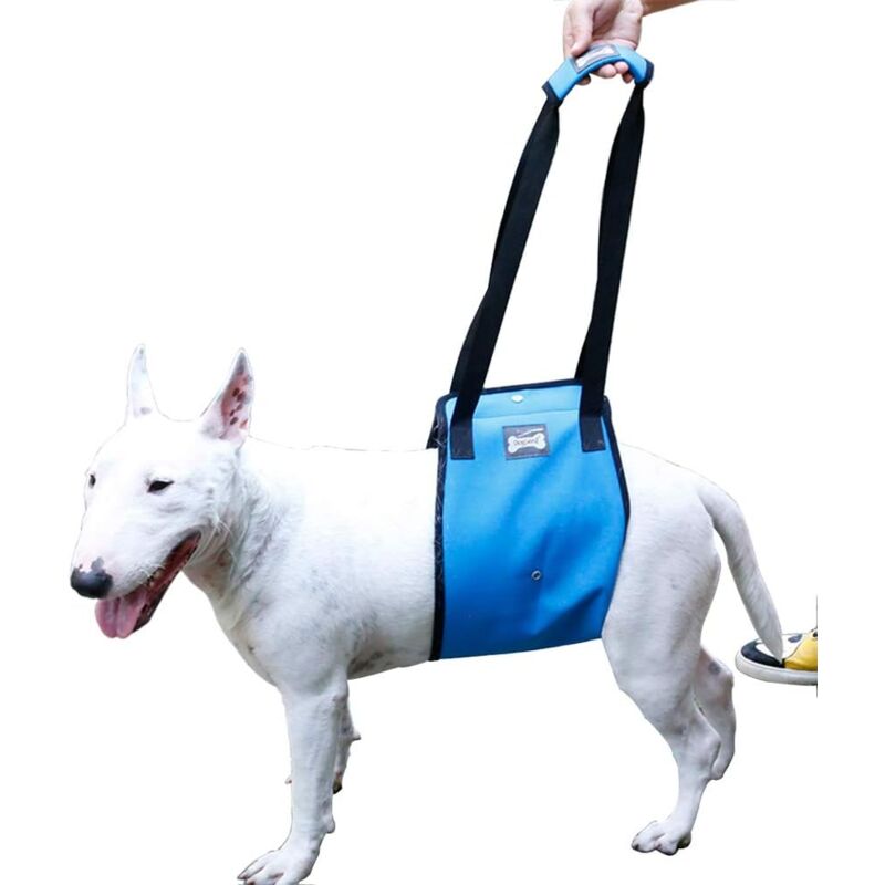 foto del prodotto dpzo imbracatura per il sollevamento di cani, supporto per le zampe posteriori, per cani di taglia media e grande s, blu 