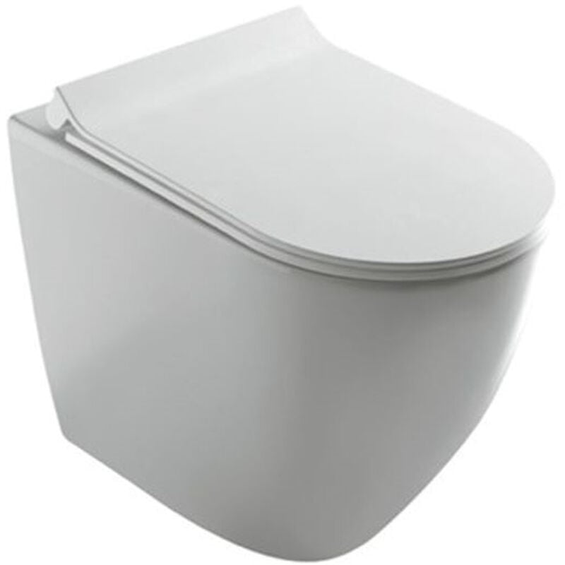 foto del prodotto dream wc universale a pavimento 36x56 bianco codice prod 7310 galassia