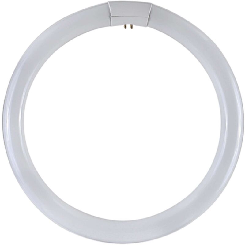 foto del prodotto duralamp circoline fluo trifosfori w32 12 pz