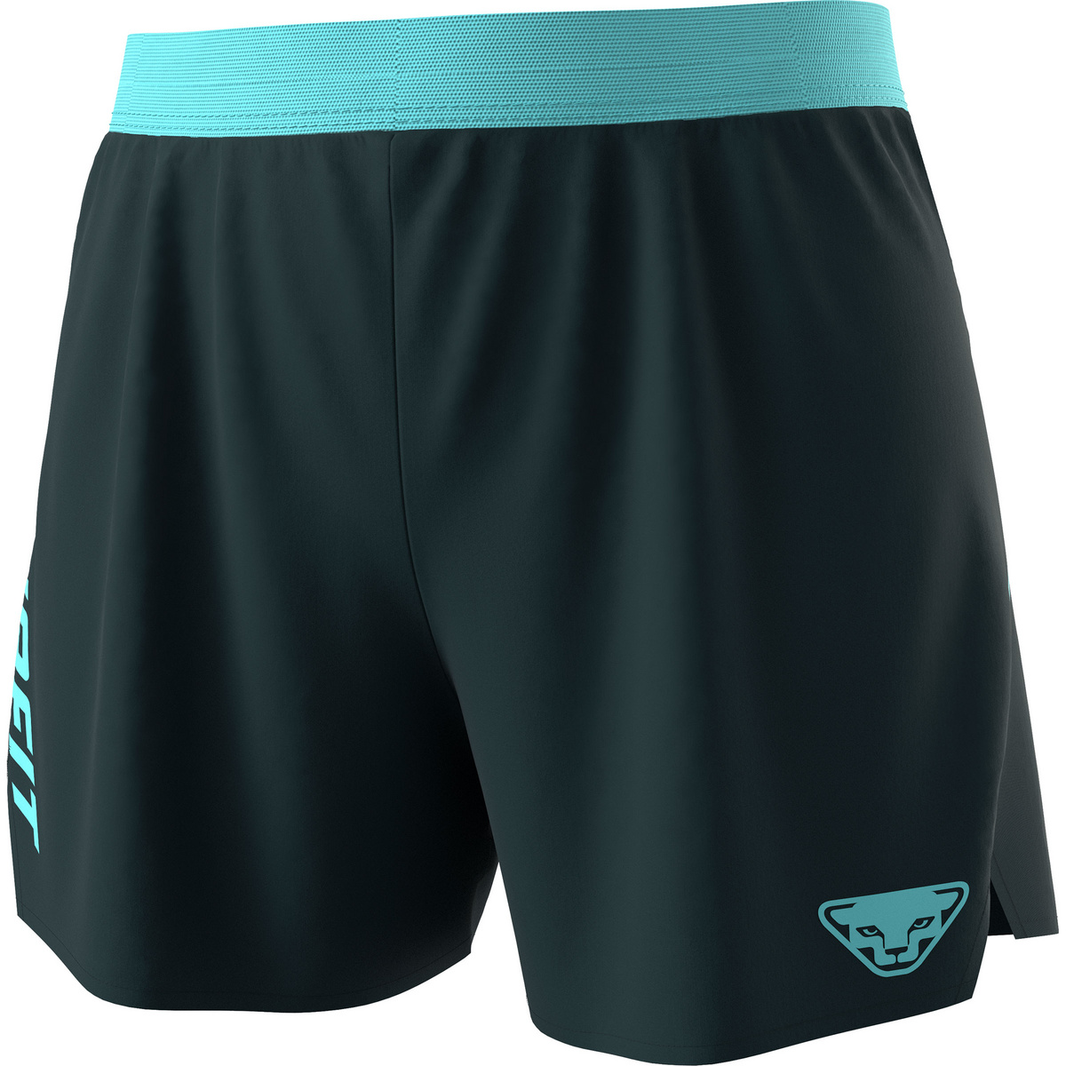 foto del prodotto dynafit donna pantaloncini alpine
