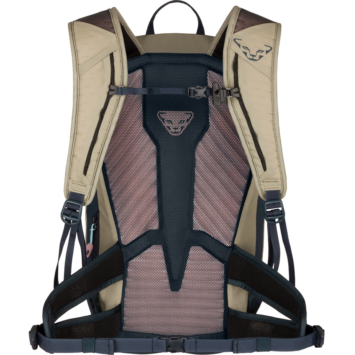 foto del prodotto dynafit donna zaino transalper 22