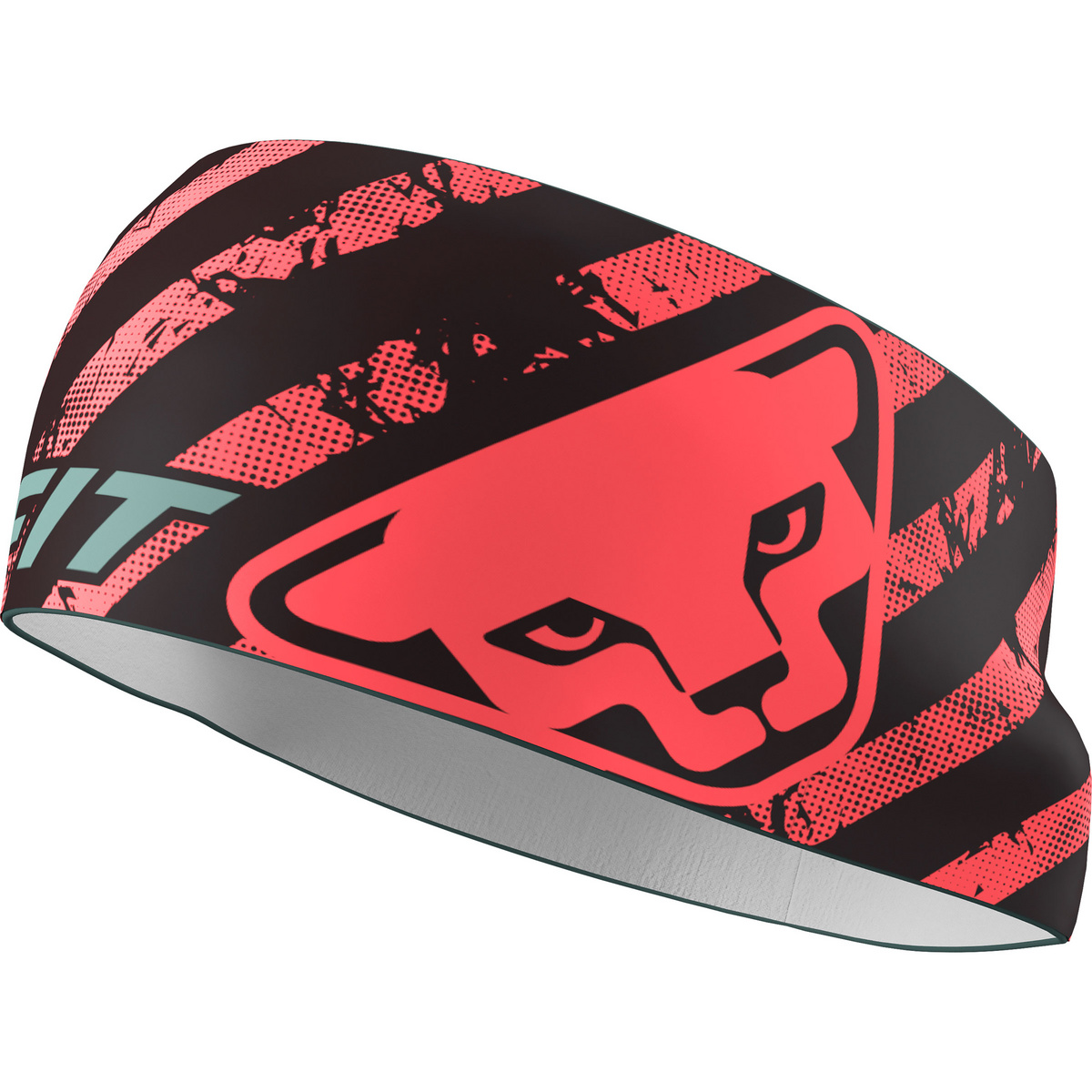 foto del prodotto dynafit fascia graphic performance