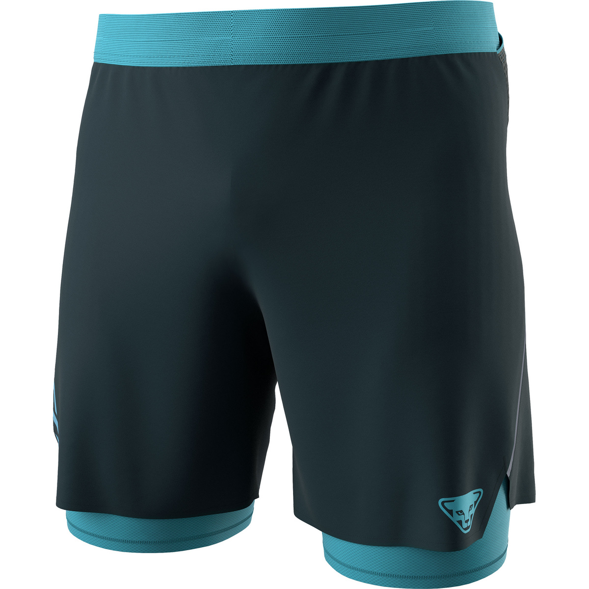 foto del prodotto dynafit uomo pantaloncini alpine pro 2 1