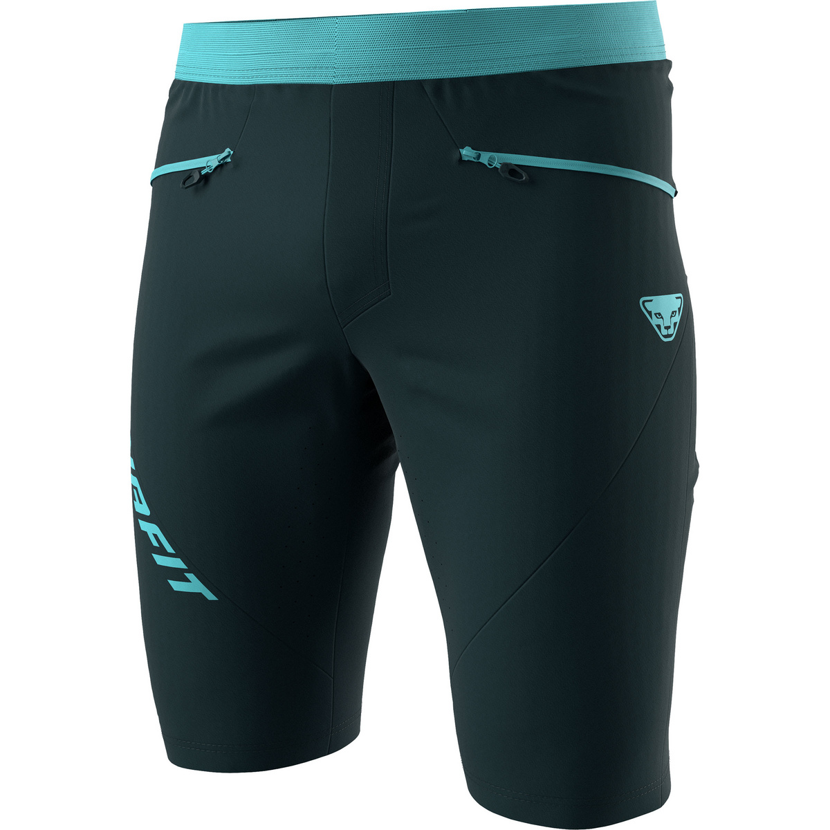 foto del prodotto dynafit uomo pantaloncini traverse dst