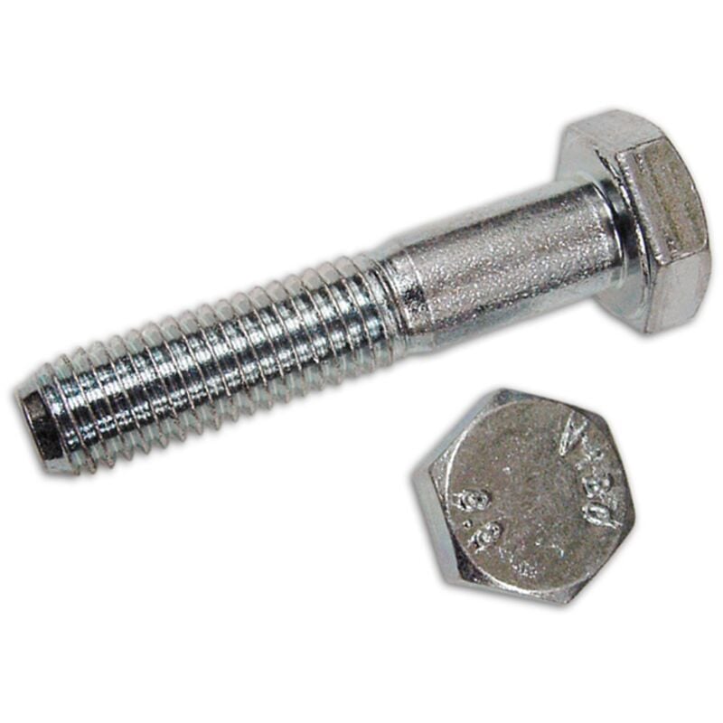 foto del prodotto eac bulloni te acciaio 8.8 fp mm 20x 90 filetto parziale zincati 5737