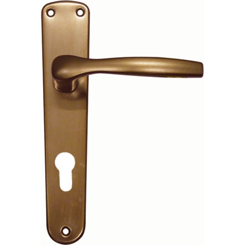 foto del prodotto eac maniglia in alluminio ginevra con placca f.yale bronzo