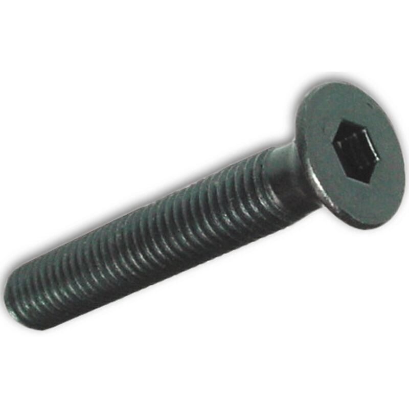 foto del prodotto eac viti per metallo tp esagono incassato acciao brunito 6x25 mm conf. 200 pz