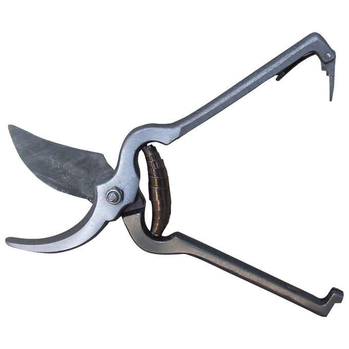 foto del prodotto ecef art 20429 forbice vigna economica 23cm