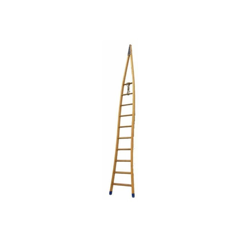 foto del prodotto echelle direct scala agricola in legno con montanti a punta in cima lunghezza 5.00m frui 500