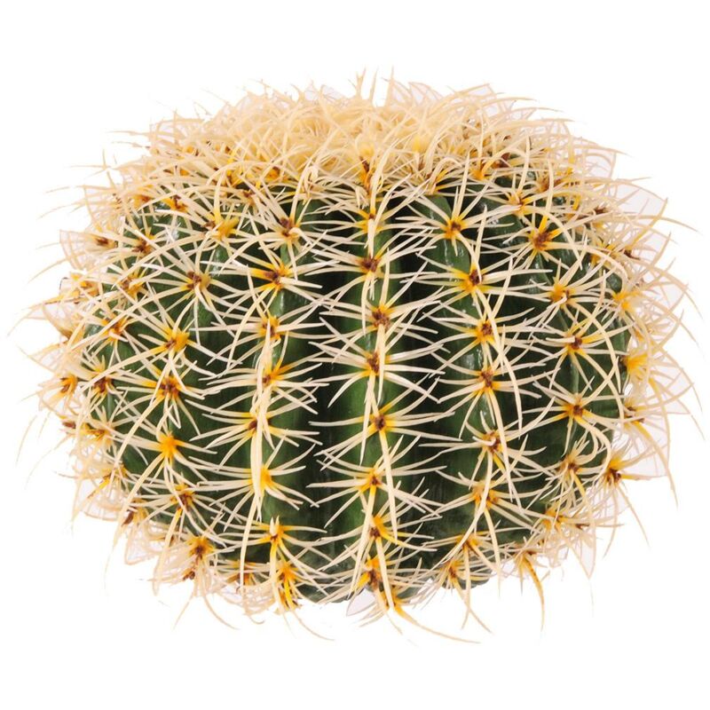 foto del prodotto echinocactus artificiale
