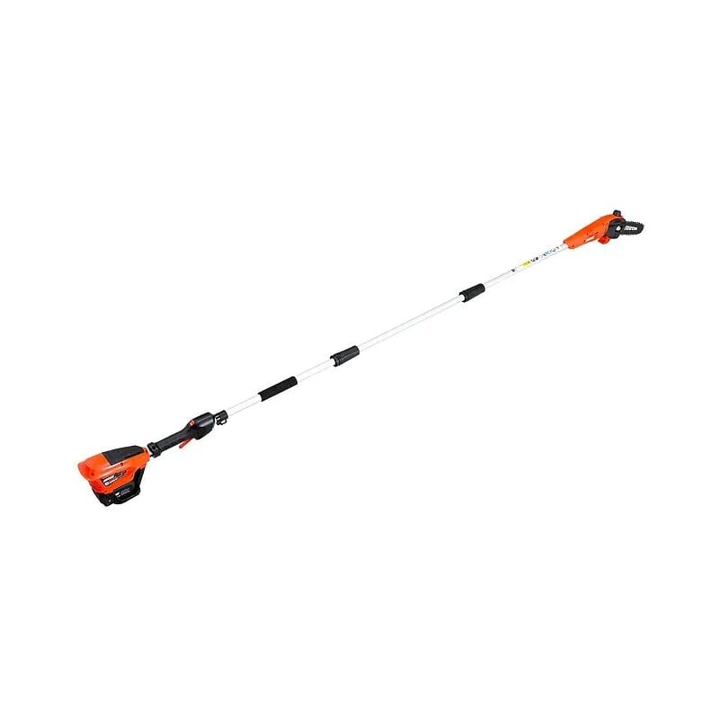 foto del prodotto echo potatore con asta dppf 310 barra 20cm senza batteria e carica