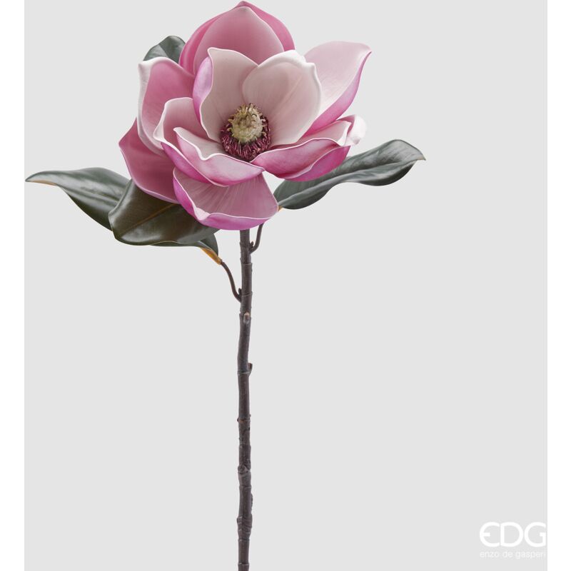 foto del prodotto edg magnolia supreme con foglie h 7