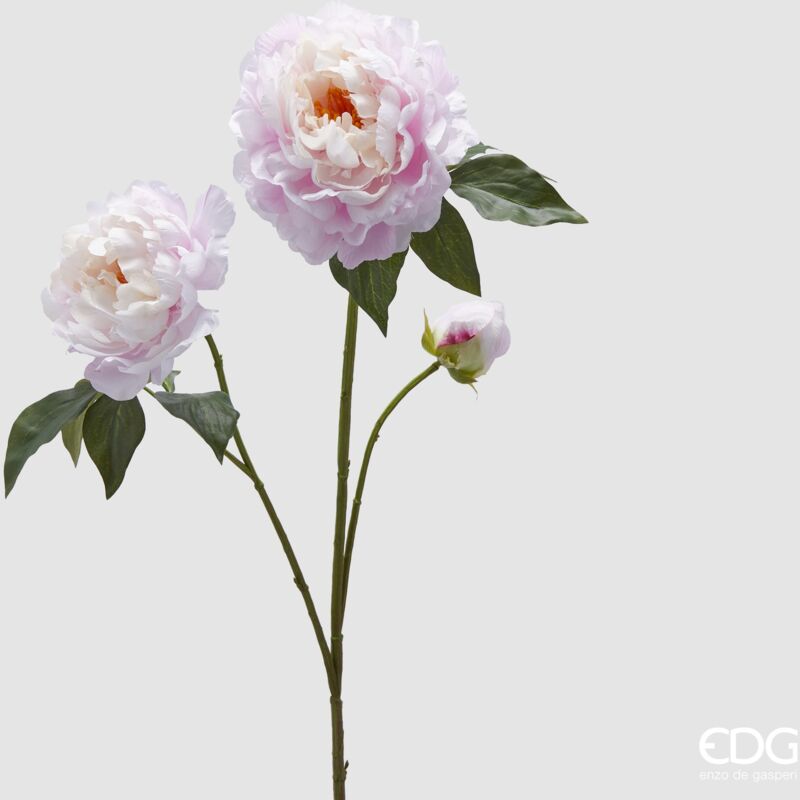foto del prodotto edg peonia ramo con foglie e bocciuolo