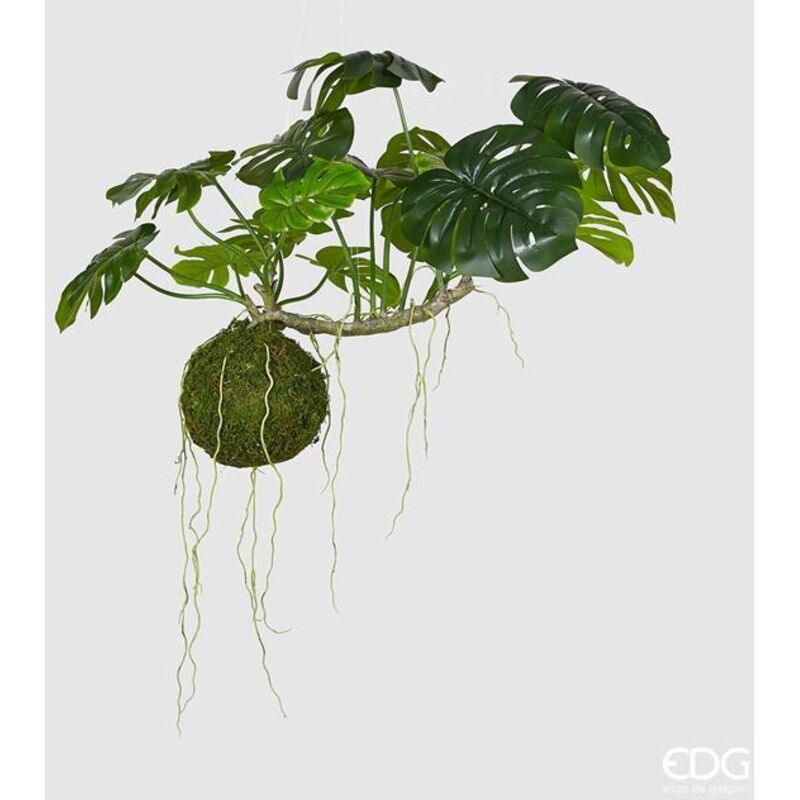 foto del prodotto edg pianta da appendere monstera bell h 110 cm