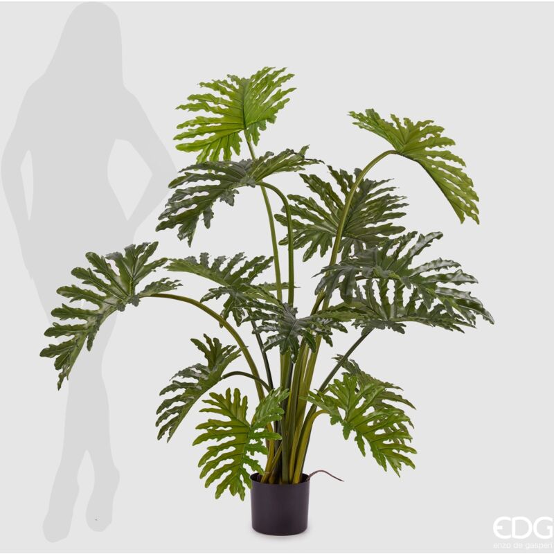 foto del prodotto edg pianta filodendro con vaso h. 135 cm