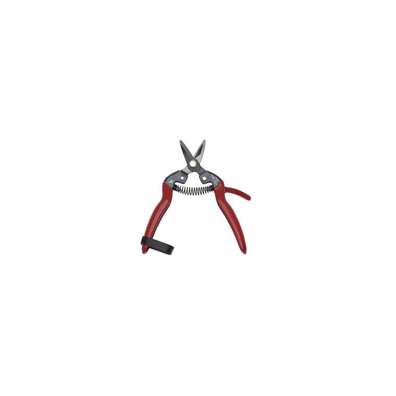 foto del prodotto edm forbici per agrumi 17cm raccogli cachi curvo 2006 papillon