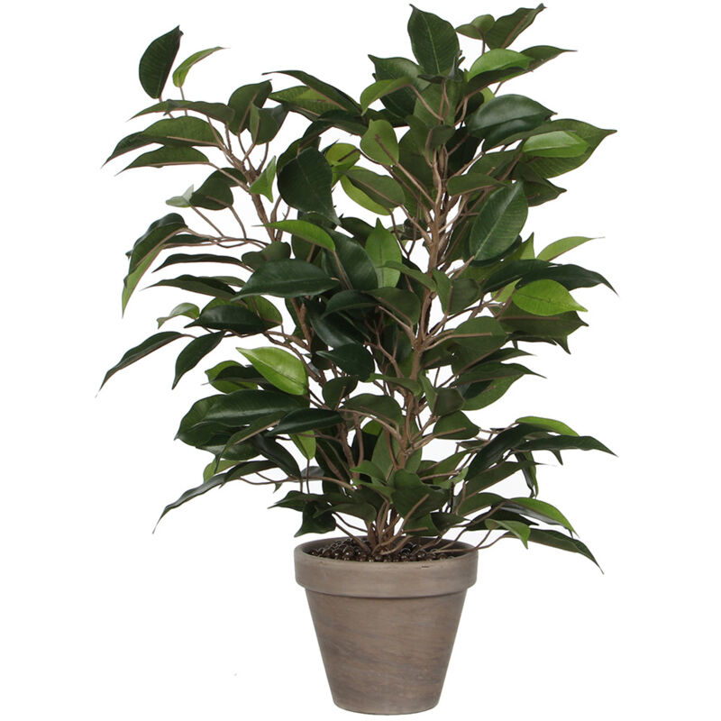 foto del prodotto edm pianta decorativa mica decorations 40 x 30 cm ceramica verde pvc ficus