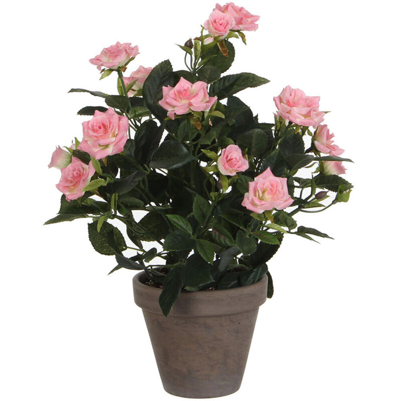 foto del prodotto edm pianta decorativa mica decorations rosal ceramica pvc