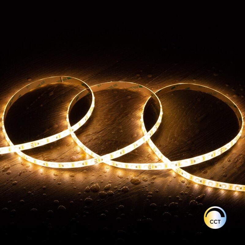 foto del prodotto efectoled bobina 5m striscia led 24v smd cct 120 led m 10w m 800lm m larga 10mm ip65 taglio 10cm selezionabile caldo naturale freddo 
