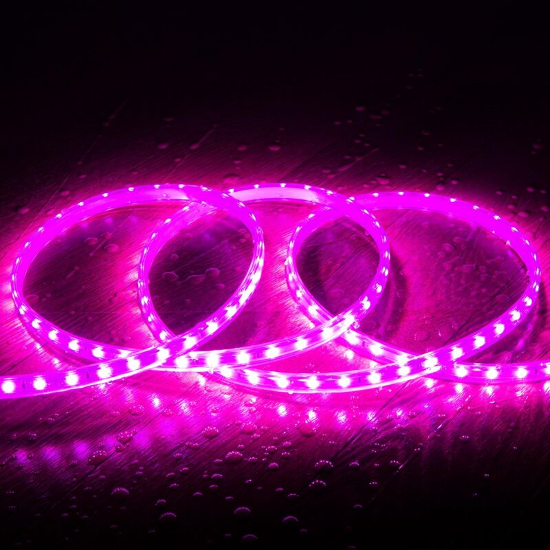 foto del prodotto efectoled striscia led 220v smd2835 60led m rosa ip65 larghezza 12mm taglio 100cm 1 m