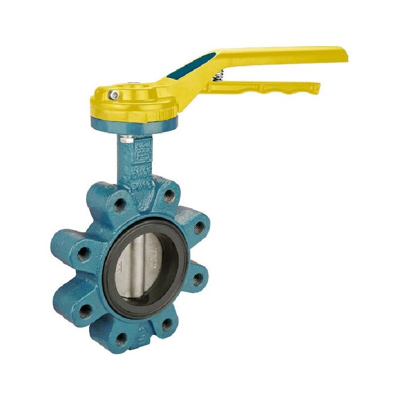 foto del prodotto effebi valvola a farfalla ghisa gas thesis 40 lug ggg40 304 nbr dn100 pn 10 16 a402yg12