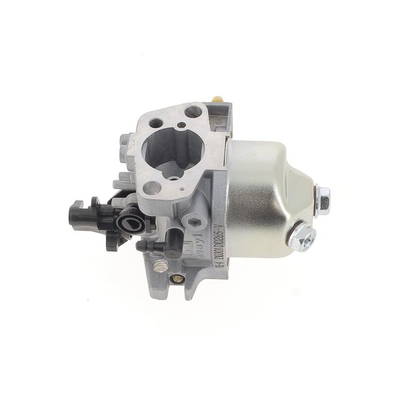 foto del prodotto einhell carburatore per tosaerba