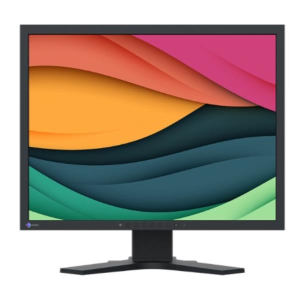 foto del prodotto eizo flexscan s2134 led display 54,1 cm 21.3 1600 x 1200 pixel uxga nero