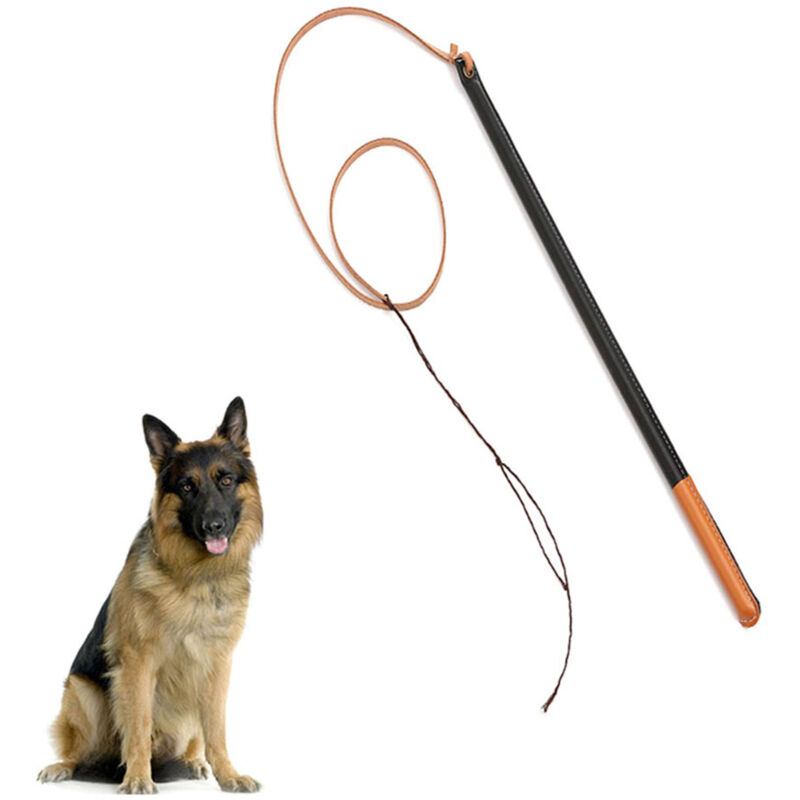 foto del prodotto ej.life eosnow imitazione in pelle di addestramento per cani strumento professionale con forniture per animali domestici a manico