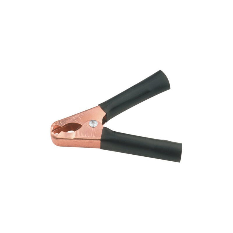 foto del prodotto electro dh morsetto per batteria 100 a rosso 38.072 r 8430552096183