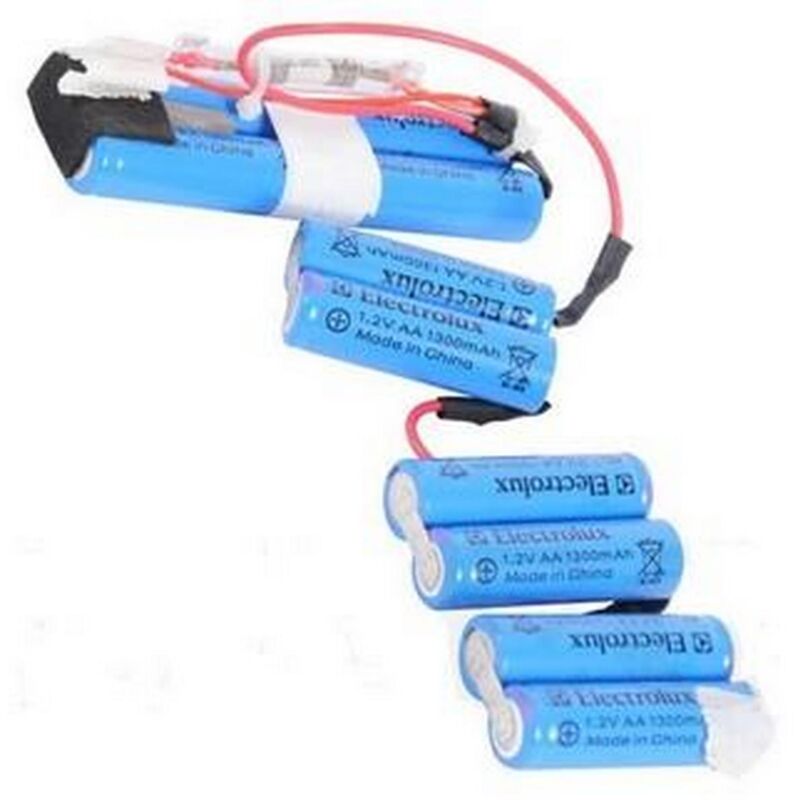 foto del prodotto electrolux batteria 12v aspirapolvere 1210305055883333979