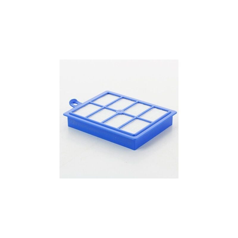 foto del prodotto electrolux filtro originale s filter allergy hepa efs1w aspirapolvere 43576913307646115721