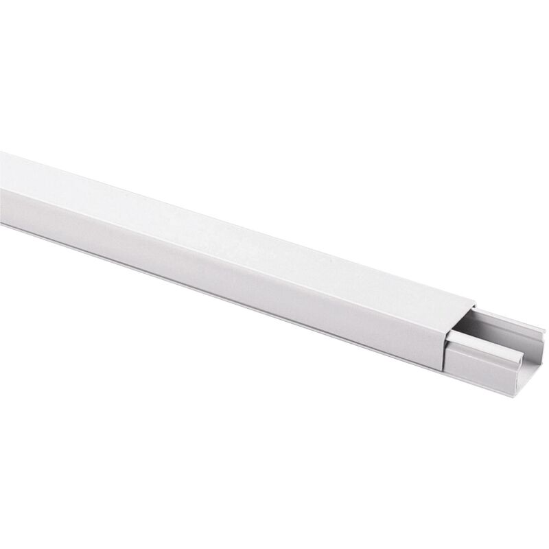 foto del prodotto elettrocanali minicanalina c cop avvolg 30x10 2 scom h 200 cm
