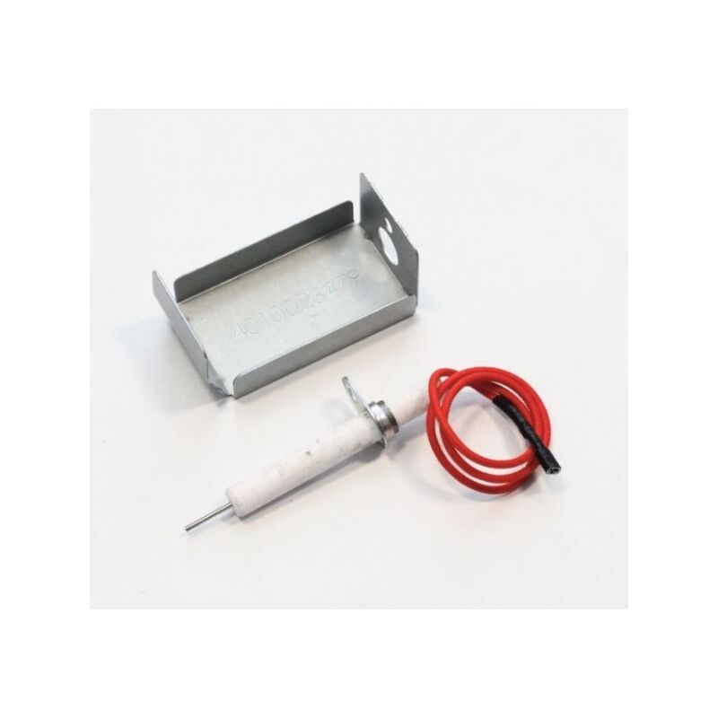 foto del prodotto elettrodo filo supporto per xpert 100l