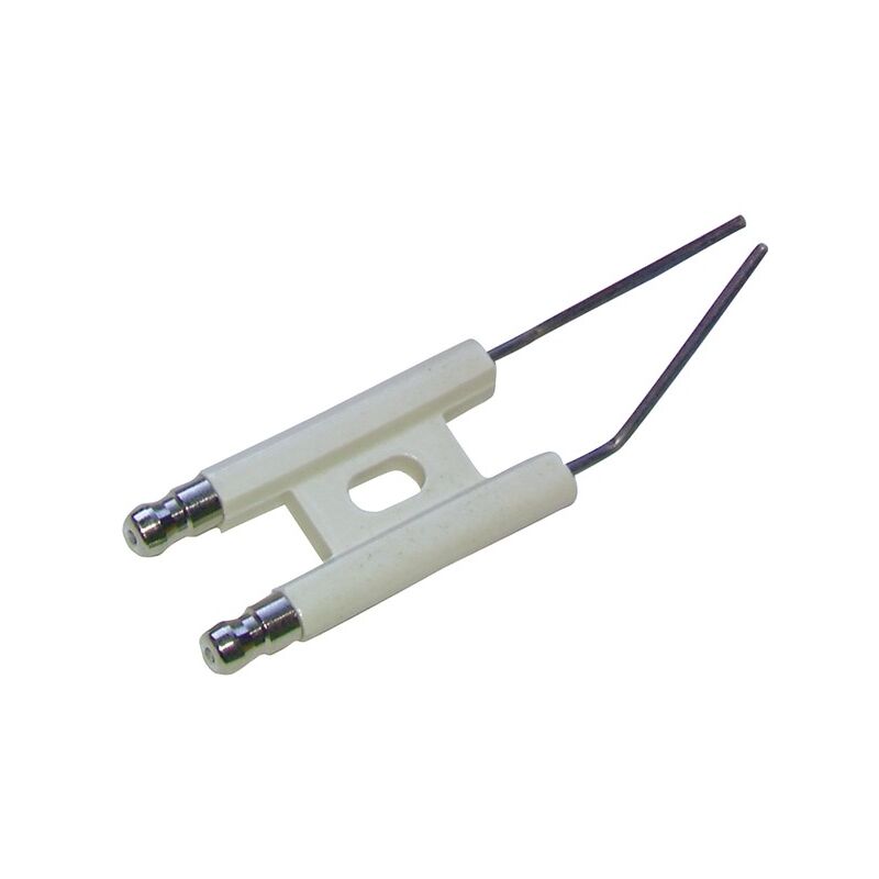 foto del prodotto elettrodo specifico bm101a201