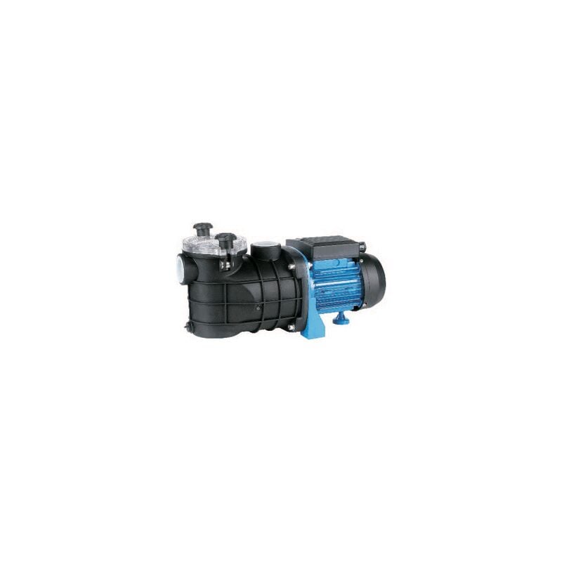 foto del prodotto elettropompa per piscina 0,12 kw