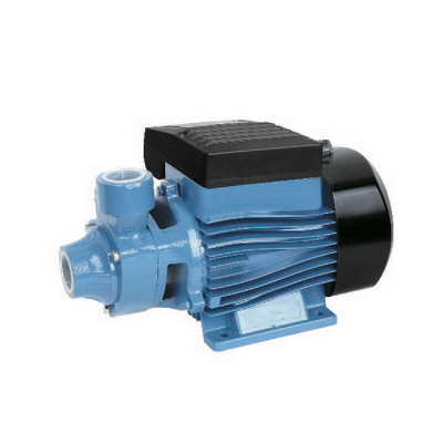 foto del prodotto elettropompa periferica mod. qb 0,55 kw
