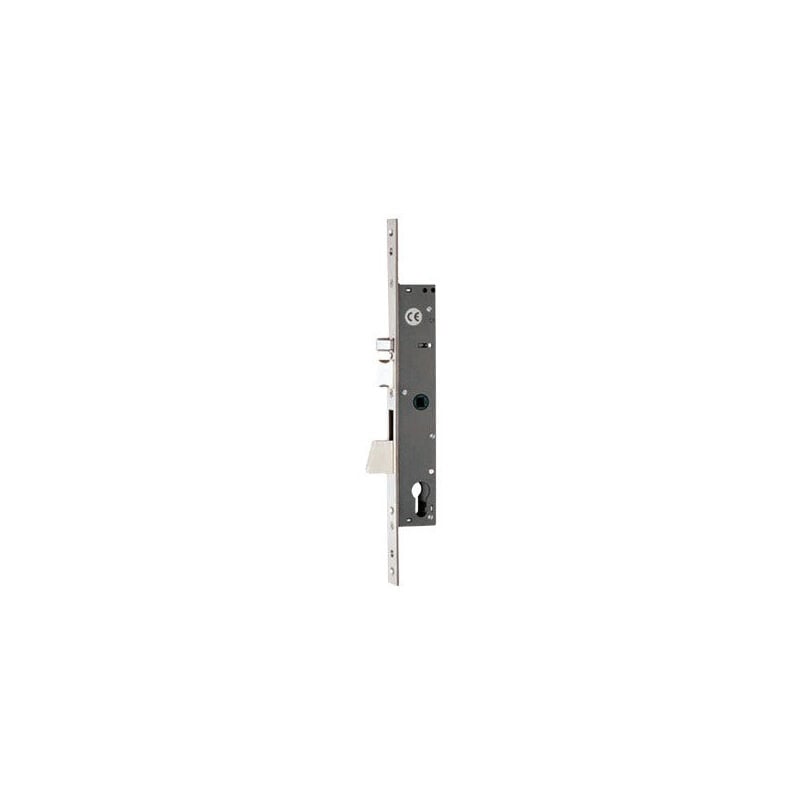 foto del prodotto elettroserratura da infilare per montati a chiusura laterale frontale inox 346x22x3 mm iseo 781 25 mm