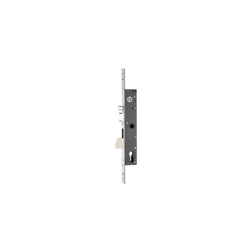 foto del prodotto elettroserratura da infilare per montati a chiusura laterale frontale inox 346x22x3 mm iseo 781 30 mm