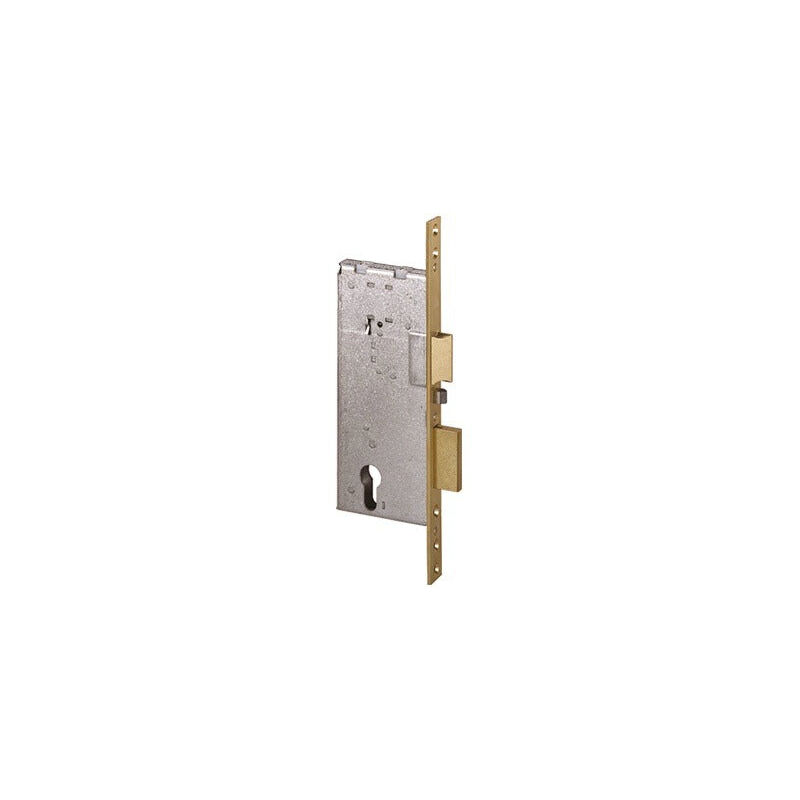 foto del prodotto elettroserratura da infilare per serramenti porte in legno con scrocco a 2 mandate cisa art. 12011 60 mm