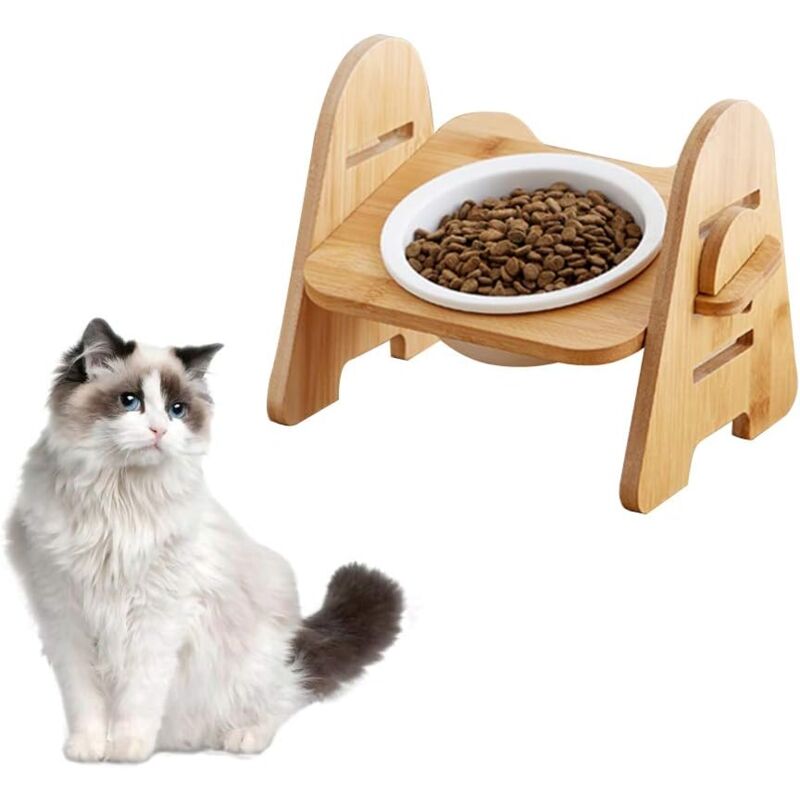 foto del prodotto elevated pet bowl stand, single bowl ceramic cat bowl set with 15 tilted platform