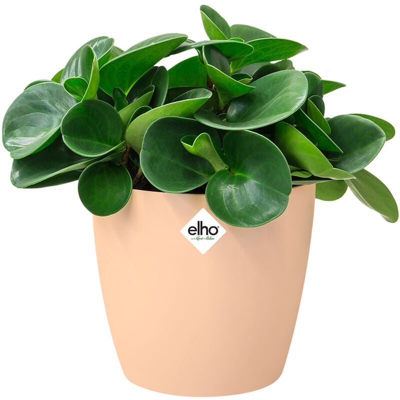 foto del prodotto elho vaso per piante brussels rotondo plastica riciclata sottovaso rotondo balcone davanzale finestra varie misure colori nude 1,4 liter de 