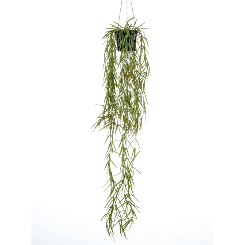 foto del prodotto emerald cespuglio appeso di hoya artificiale 80 cm in vaso
