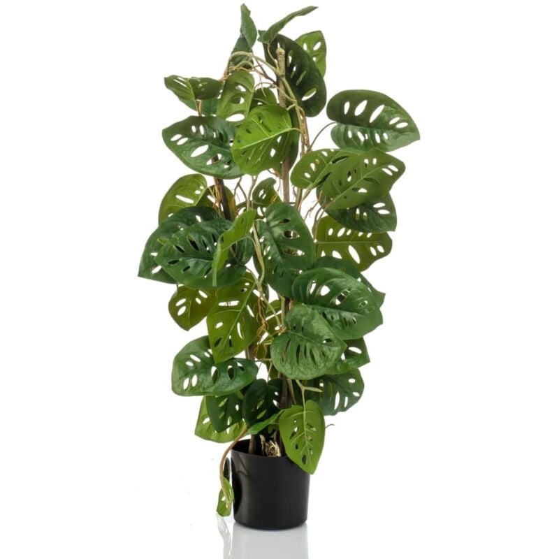 foto del prodotto emerald monstera adansonii artificiale 75 cm in vaso