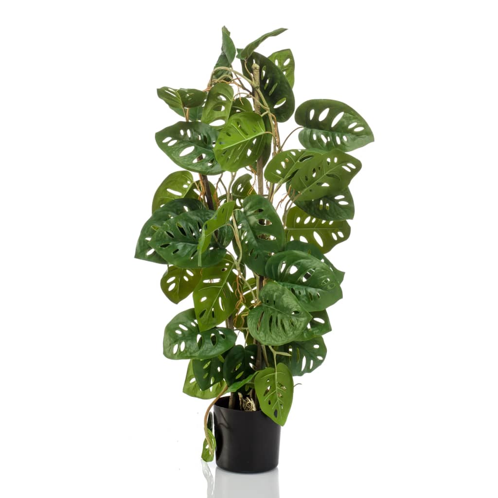 foto del prodotto emerald monstera adansonii artificiale 75 cm in vasocod mxl 96056